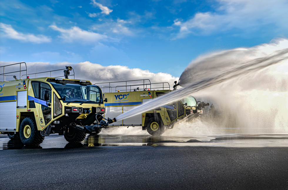 Screenshot 2024-10-23 115529 Small bird perched on a wire with a blurred out background