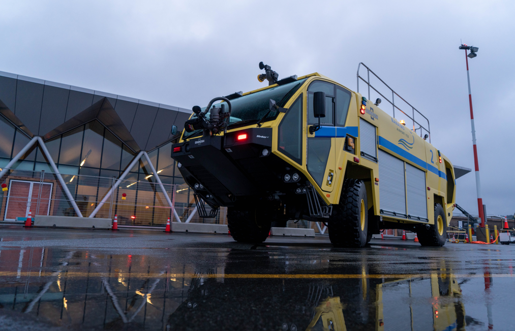 Screenshot 2024-10-23 122256 Small bird perched on a wire with a blurred out background