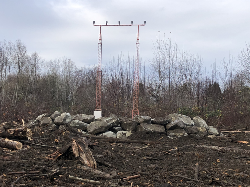 Boulders Two Salmon swimming above rocks in the bottom of a body of water