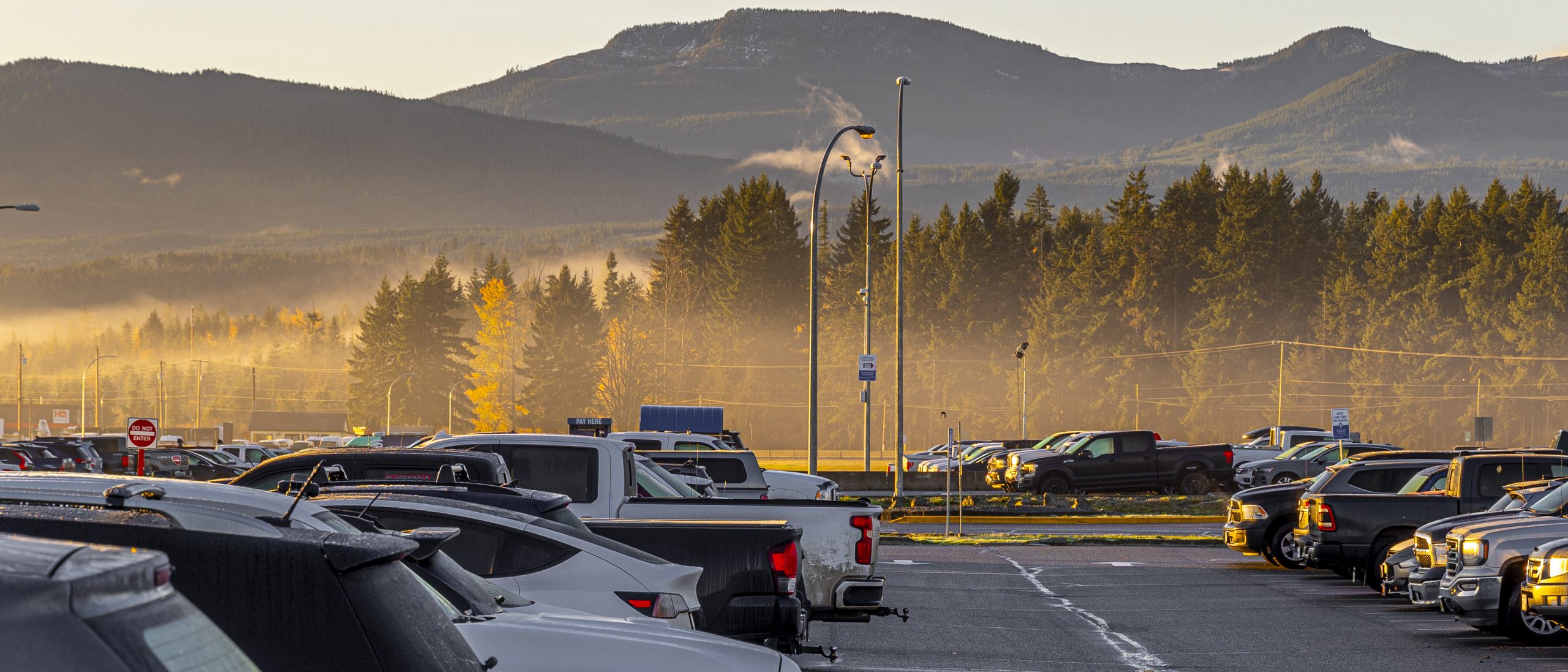IMG_3082 Small bird perched on a wire with a blurred out background