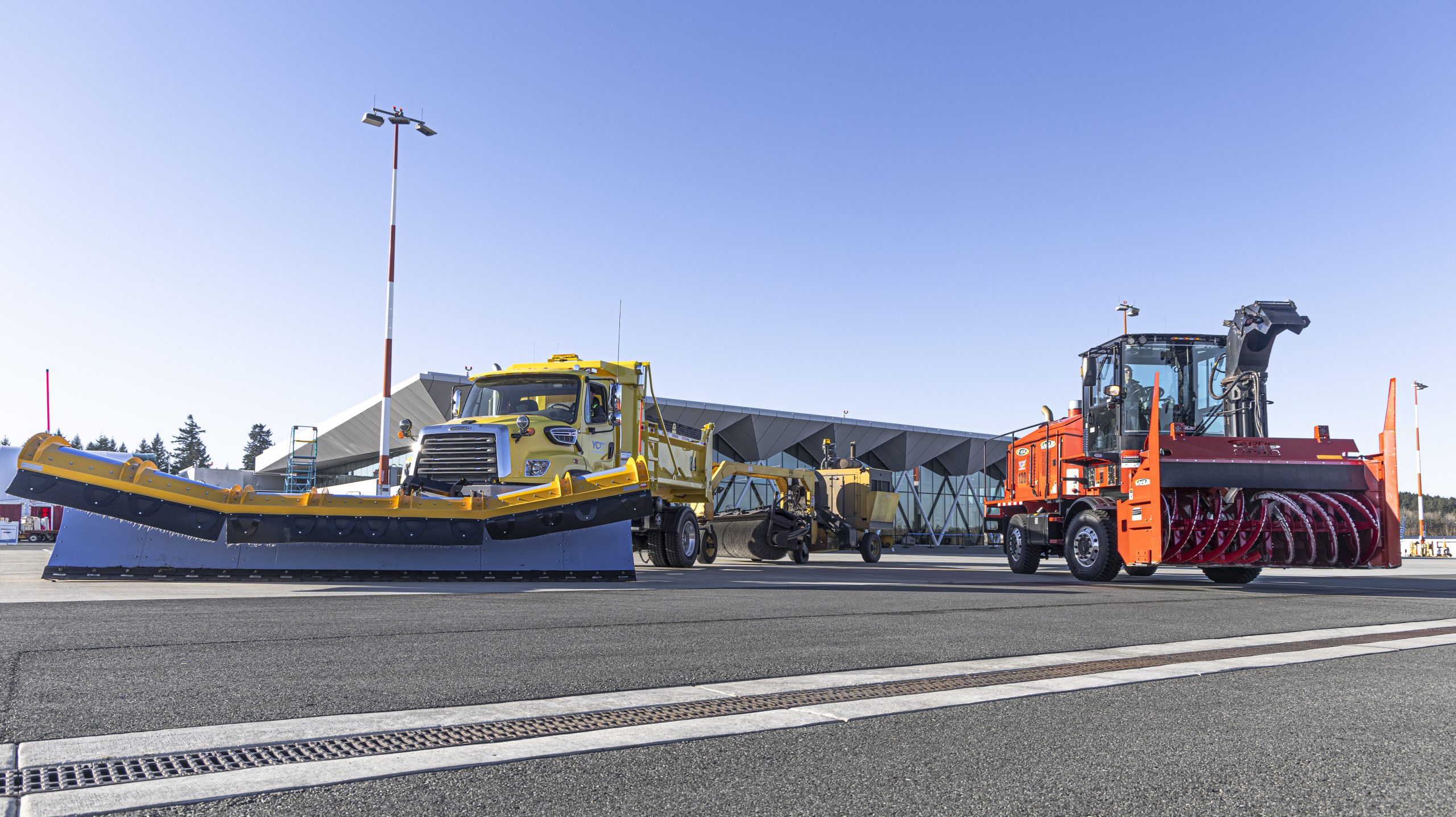 IMG_4230-2 Small bird perched on a wire with a blurred out background