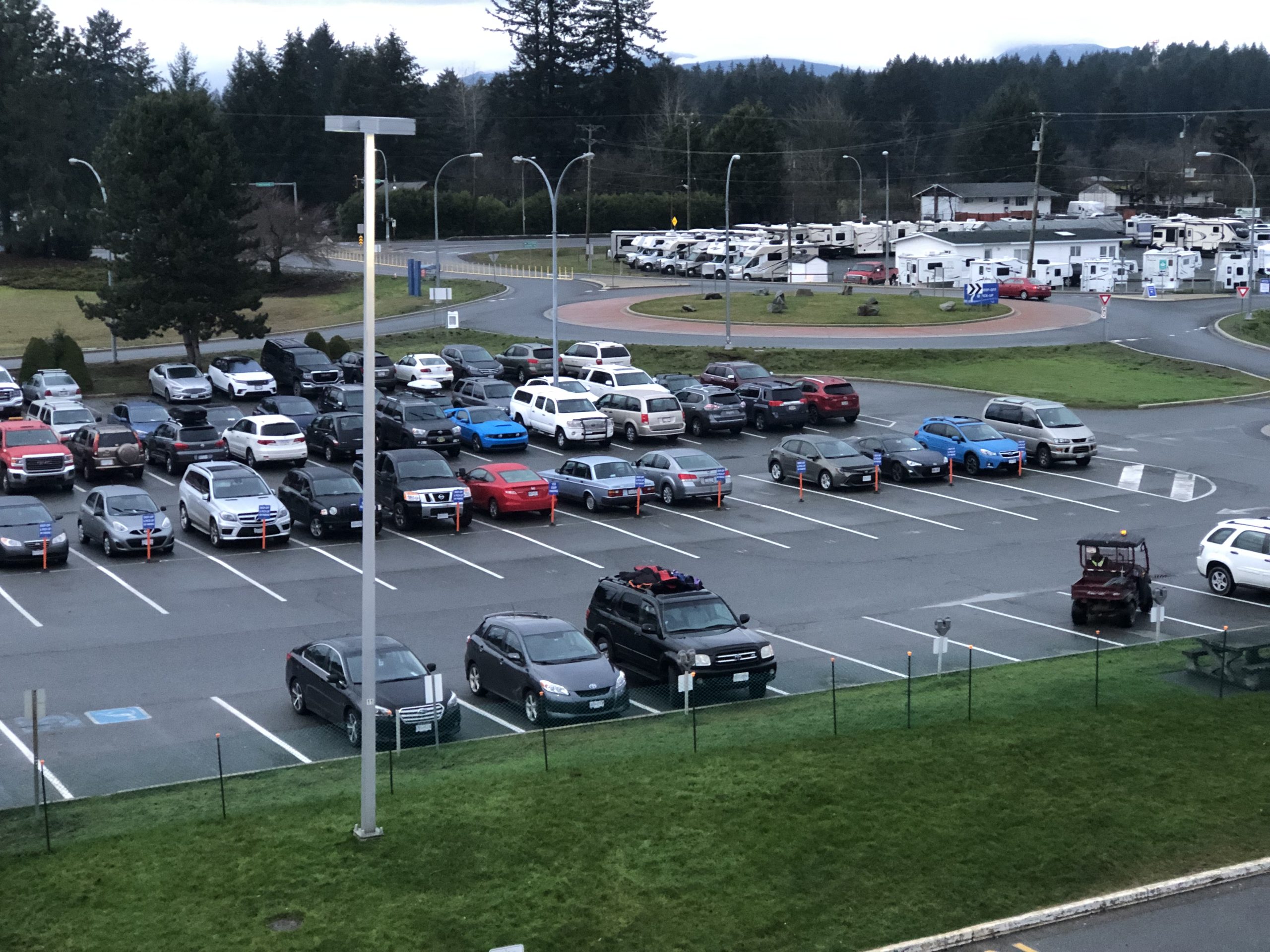 IMG_6651 Small bird perched on a wire with a blurred out background