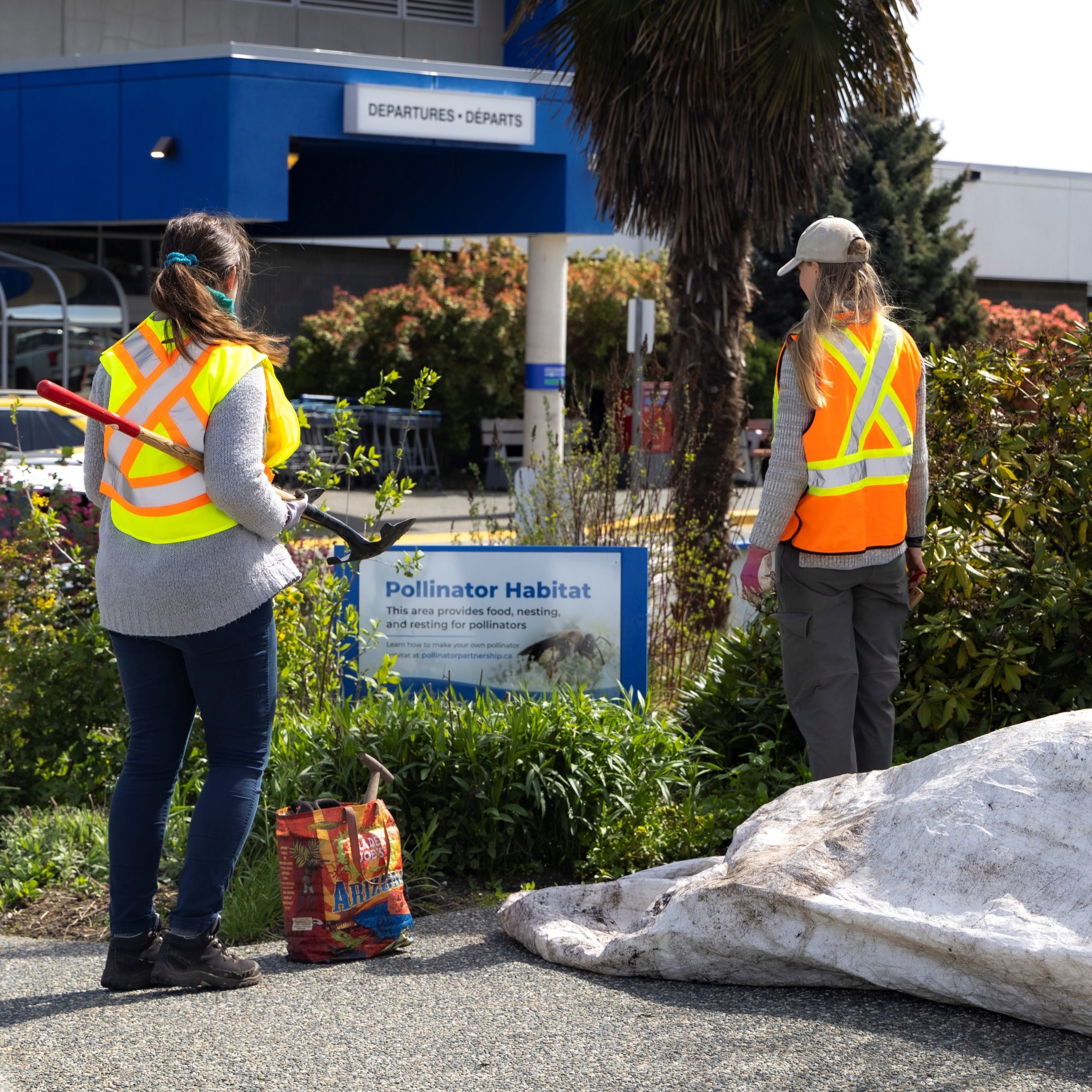 Pollinator Garden – Maintaining the Habitat